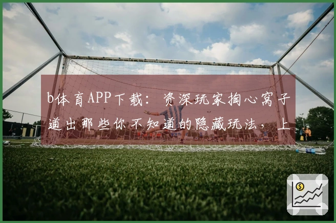b体育APP下载：资深玩家掏心窝子道出那些你不知道的隐藏玩法，上手效率翻倍！
