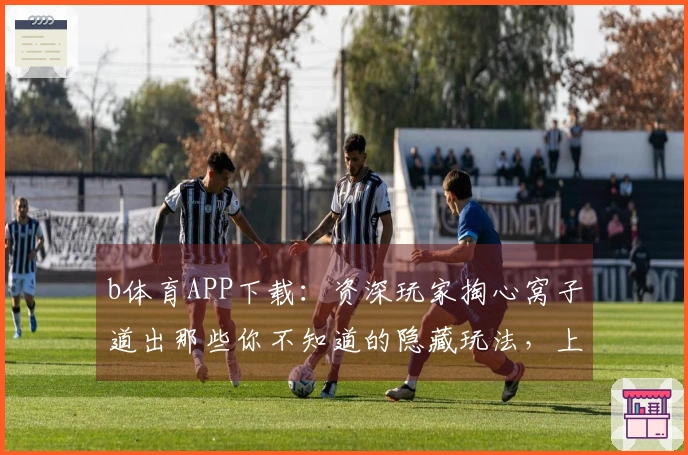 b体育APP下载：资深玩家掏心窝子道出那些你不知道的隐藏玩法，上手效率翻倍！